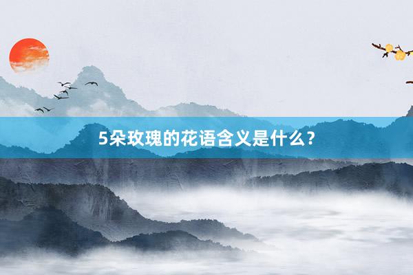 5朵玫瑰的花语含义是什么？